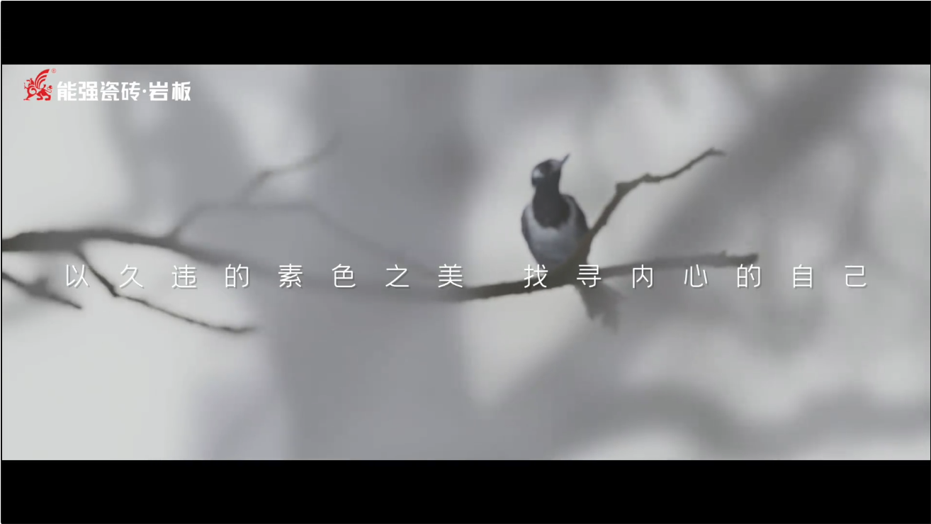 素巖系列 | 以素色之美，找尋內(nèi)心的自己